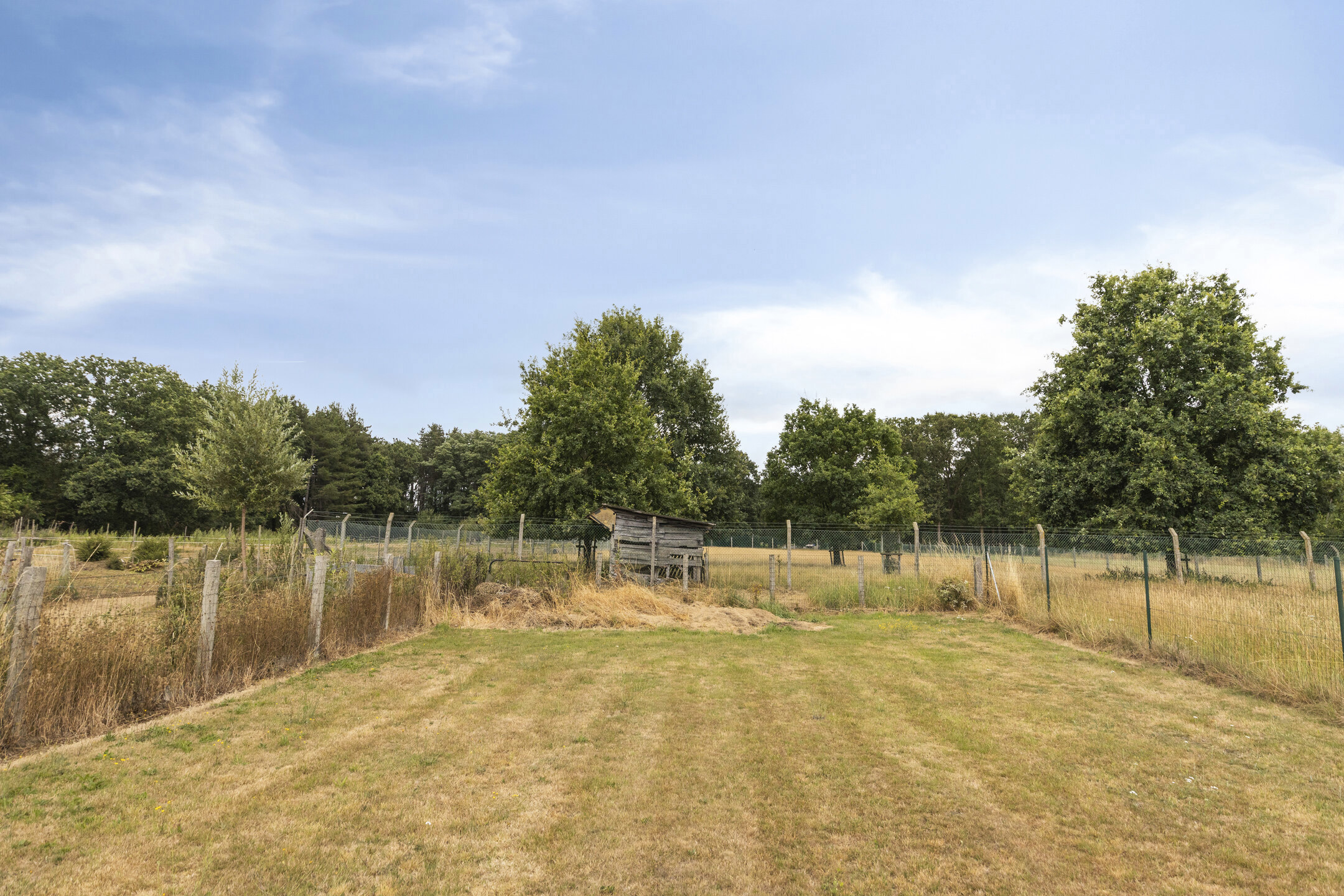 2e6a3a734dc04d82a74779dd5d88c0ec.jpg