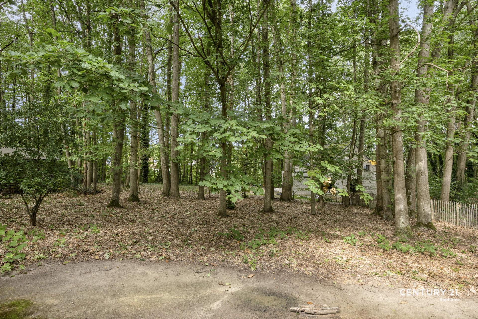 5375e23b54ee4c4d98fc8675c13b525b.jpg